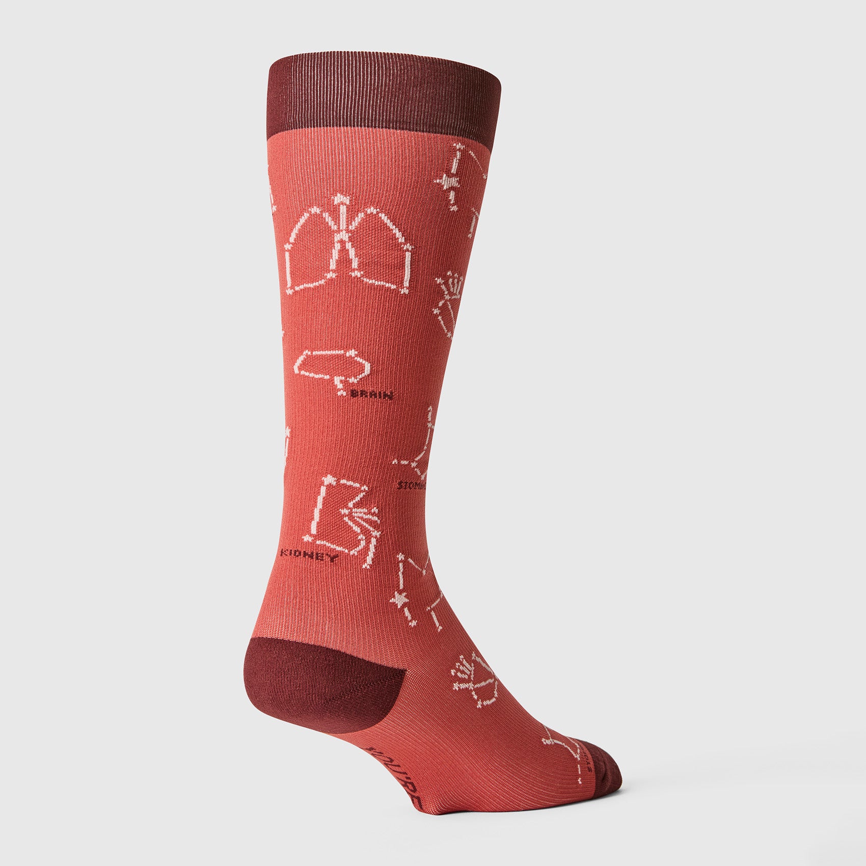 men's Spiced Cider You're Stellar - Compression Socks - Image 4